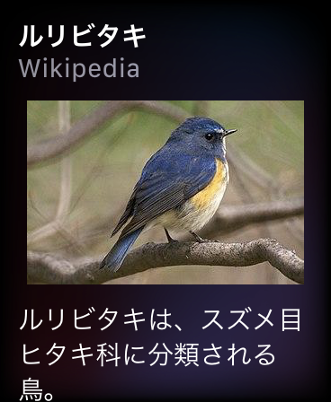 ルリビタキをアップルウォッチでウィキペディアで検索した結果の画像
